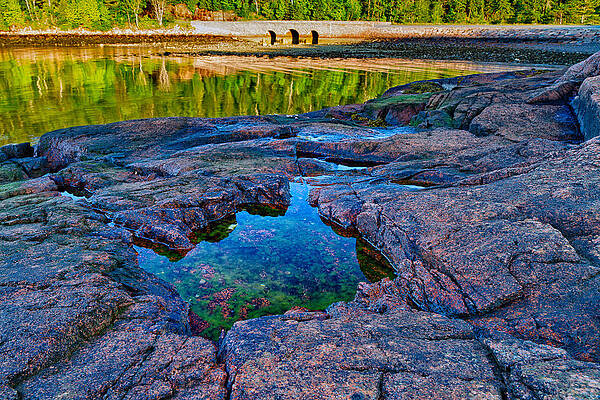 Maine Wall Art featuring the photograph Otter Cove Bridge And Tide Pool by Jeff Sinon