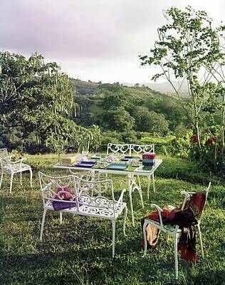 Serene Outdoor Table Setting Photograph