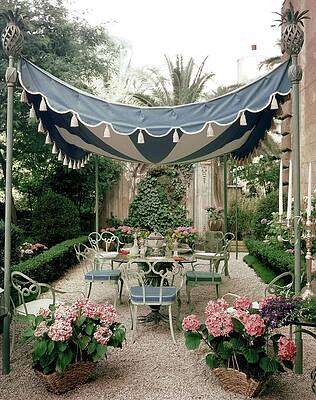 Charming Garden Dining Setup Photograph