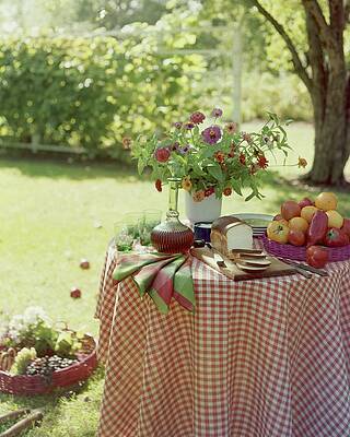 Shade Wall Art featuring the photograph Outdoor Lunch In The Shade Of A Tree by Wiliam Grigsby