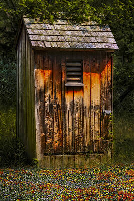 Rustic Wooden Shed in Nature Photograph