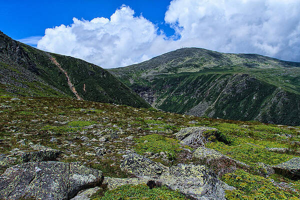 Photograph - Overlooking Tuckerman by Jeff Sinon