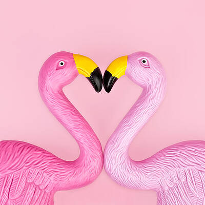 Plastic Flamingos on Pink Background Wall Art