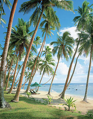 Tropical Beach Paradise Wall Art