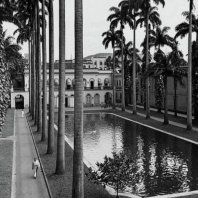 Colonial Courtyard and Palm Trees Wall Art