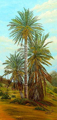 Tropical Palm Trees Landscape Painting