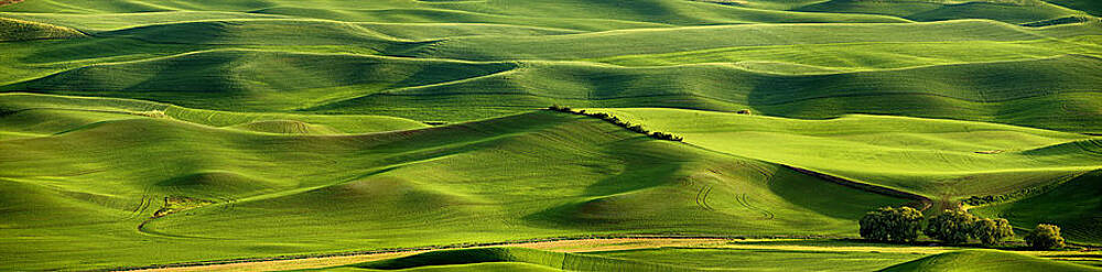 Spring Wall Art featuring the photograph Palouse Panorama by Mary Jo Allen