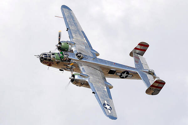 David Photograph - Panchito by David Hart