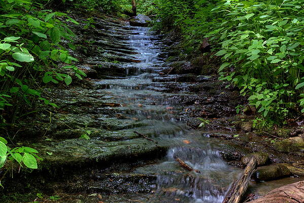 Wisconsin Wall Art featuring the photograph Parfrey's Glen Tributary by Dale Kauzlaric