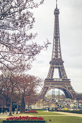 Eiffel Tower in Springtime Wall Art