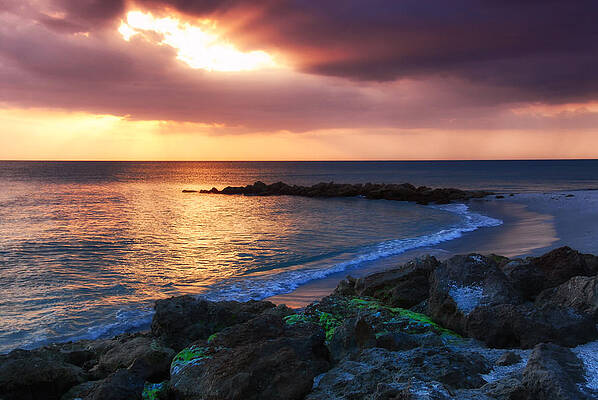 Florida Photograph - Pastoral by Ghostwinds Photography