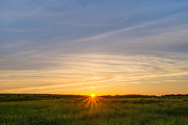 Photograph - Pasture At Sunset by Adam Mateo Fierro