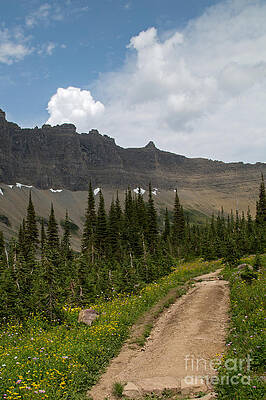 Glacier National Park Photograph - Path From Iceberg Lake by Natural Focal Point Photography