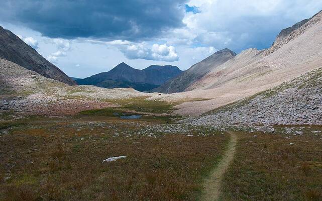 Colorado Photograph - Path Through The Alpine by Cascade Colors