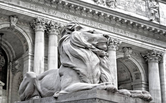 Lion Statue at New York Public Library Wall Art