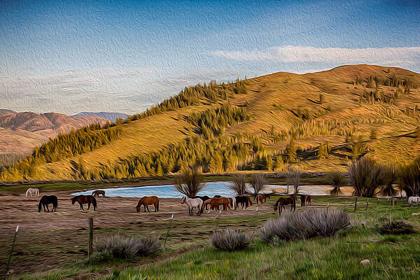 Spring Painting - Patterson Mountain Afternoon View by Omaste Witkowski