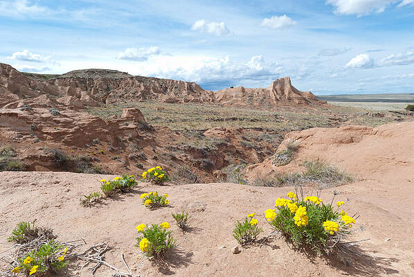 Sky Wall Art featuring the photograph Pawnee Buttes Colorado by Cascade Colors