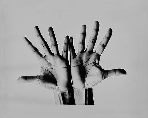 Expressive Hand Gestures in Black and White Photograph
