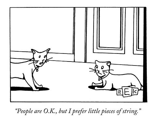 Two Cats Conversing Drawing