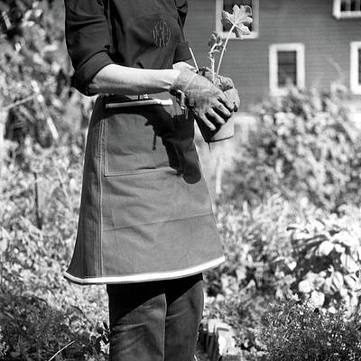 Gardener Holding Seedlings Wall Art