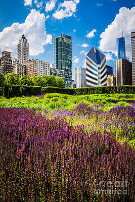 Illinois Wall Art featuring the photograph Picture Of Chicago Skyline With Lurie Garden Flowers by Paul Velgos