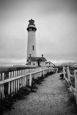 Wall Art featuring the photograph Pigeon Point Lighthouse by Lisa Chorny
