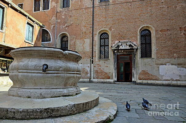 Animal Wall Art featuring the photograph Pigeons In A Courtyard By Well by Sami Sarkis Photography