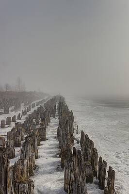 Wall Art featuring the photograph Piles Along The Kam by Linda Ryma