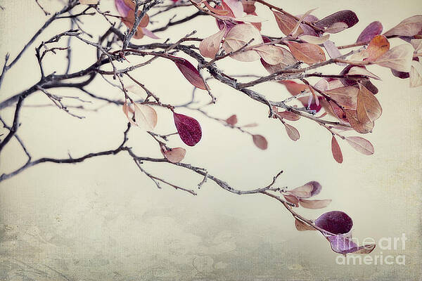 Serene Autumn Branches Wall Art