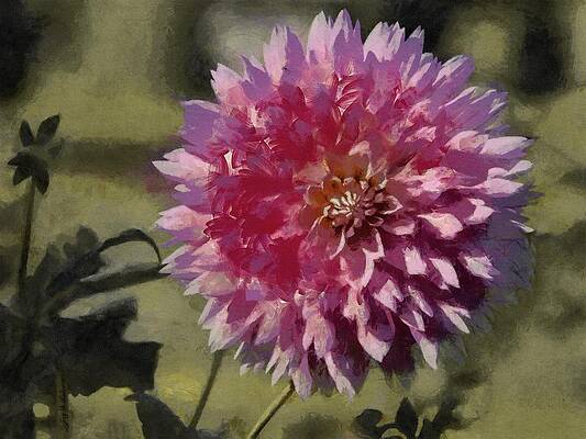 Wall Art featuring the painting Pink Dahlia by Jeffrey Kolker