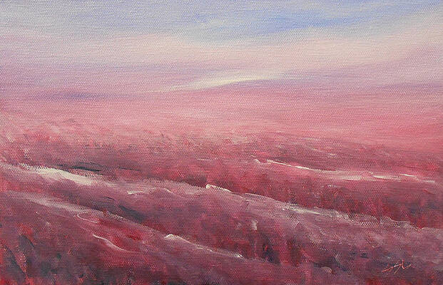 Sky Painting - Pink by Jane See