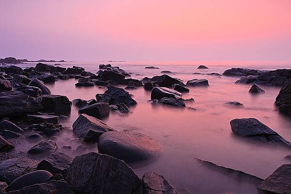 Wall Art featuring the photograph Pink Sunrise Odiorne Point by Jeff Sinon