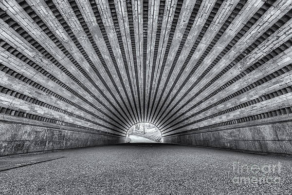 Wall Art featuring the photograph Playmates Arch by Clarence Holmes