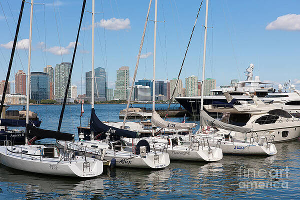 Wall Art featuring the photograph Pleasure Boats In North Cove Marina I by Clarence Holmes
