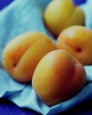 Ripe Apricots on Blue Cloth Photograph