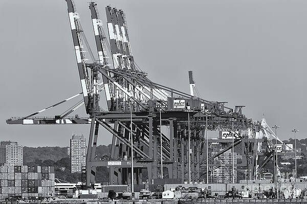 Cargo Cranes at Port Terminal Wall Art