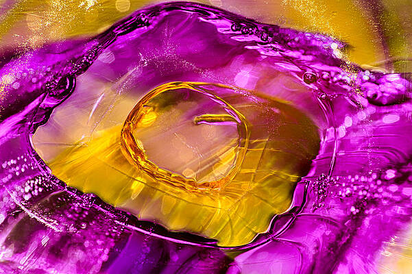 Wall Art featuring the photograph Pool Of Fuscia by Omaste Witkowski