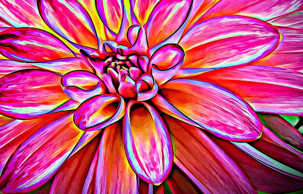 Flower Photograph - Pop Art Dahlia by Mary Jo Allen