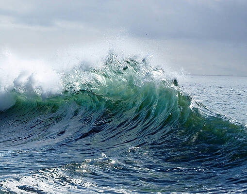 Wall Art featuring the photograph P O P by Joe Schofield