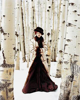 Elegant Woman in Snowy Birch Forest Photograph