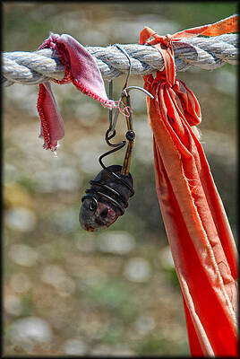 Sacred Wall Art featuring the photograph Prayer Wind by Ghostwinds Photography