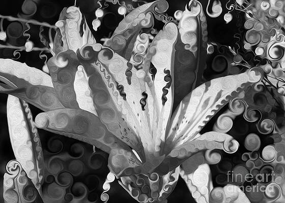 Summer Painting - Pretty Pouting Pleasures A Black And White Painting by Omaste Witkowski