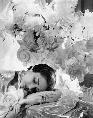 Classic Elegance and Flower Arrangement Photograph