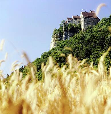 Landscape Architecture Wall Art featuring the photograph Princess Teresa Zu Furstenberg's Summer Home by Henry Clarke