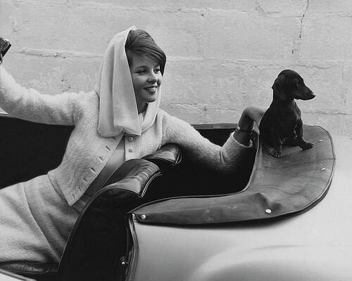 Woman and Dog in Classic Car Photograph