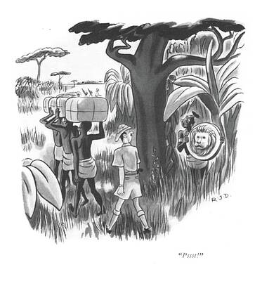 Native Drawing - Pssst by Robert J Day