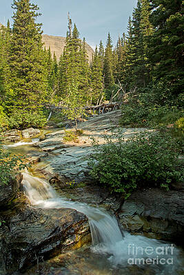 Glacier National Park Photograph - Ptarmigan Falls by Natural Focal Point Photography