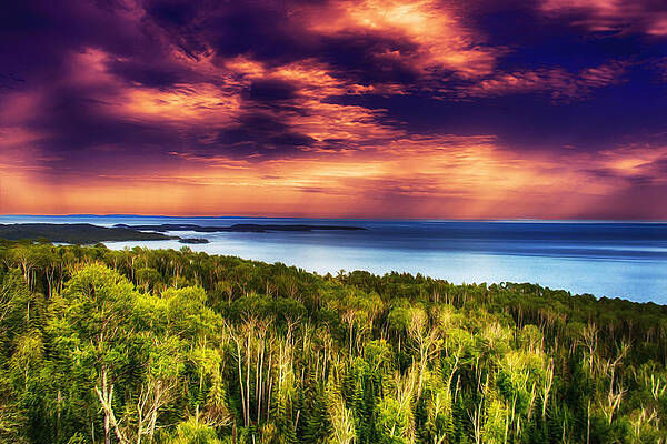 Vibrant Sunset Over Verdant Forest Wall Art