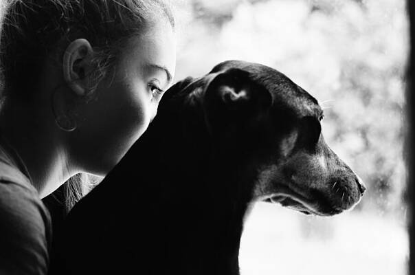 Moody Wall Art featuring the photograph Rabbit Season by Laura Fasulo