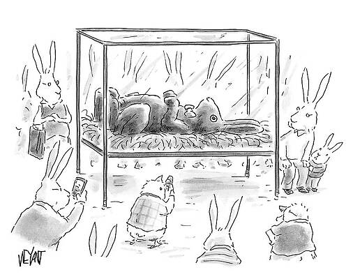 Display Wall Art featuring the drawing Rabbits And Chicks Looking At Display Of Choclate by Christopher Weyant